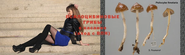 гашик Володарск