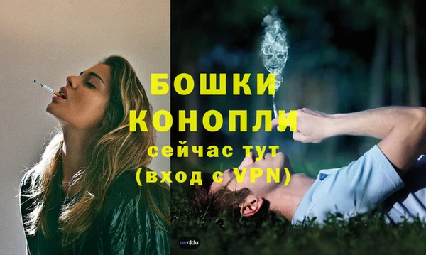 гашик Володарск