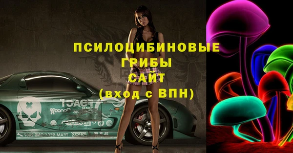 гашик Володарск