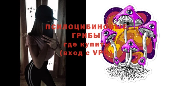 гашик Володарск