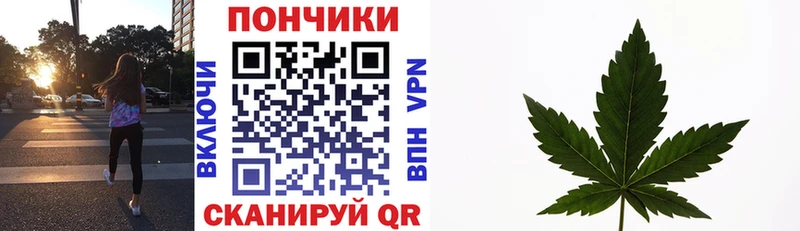 Купить закладки  Лосино-Петровский  Конопля OG Kush 